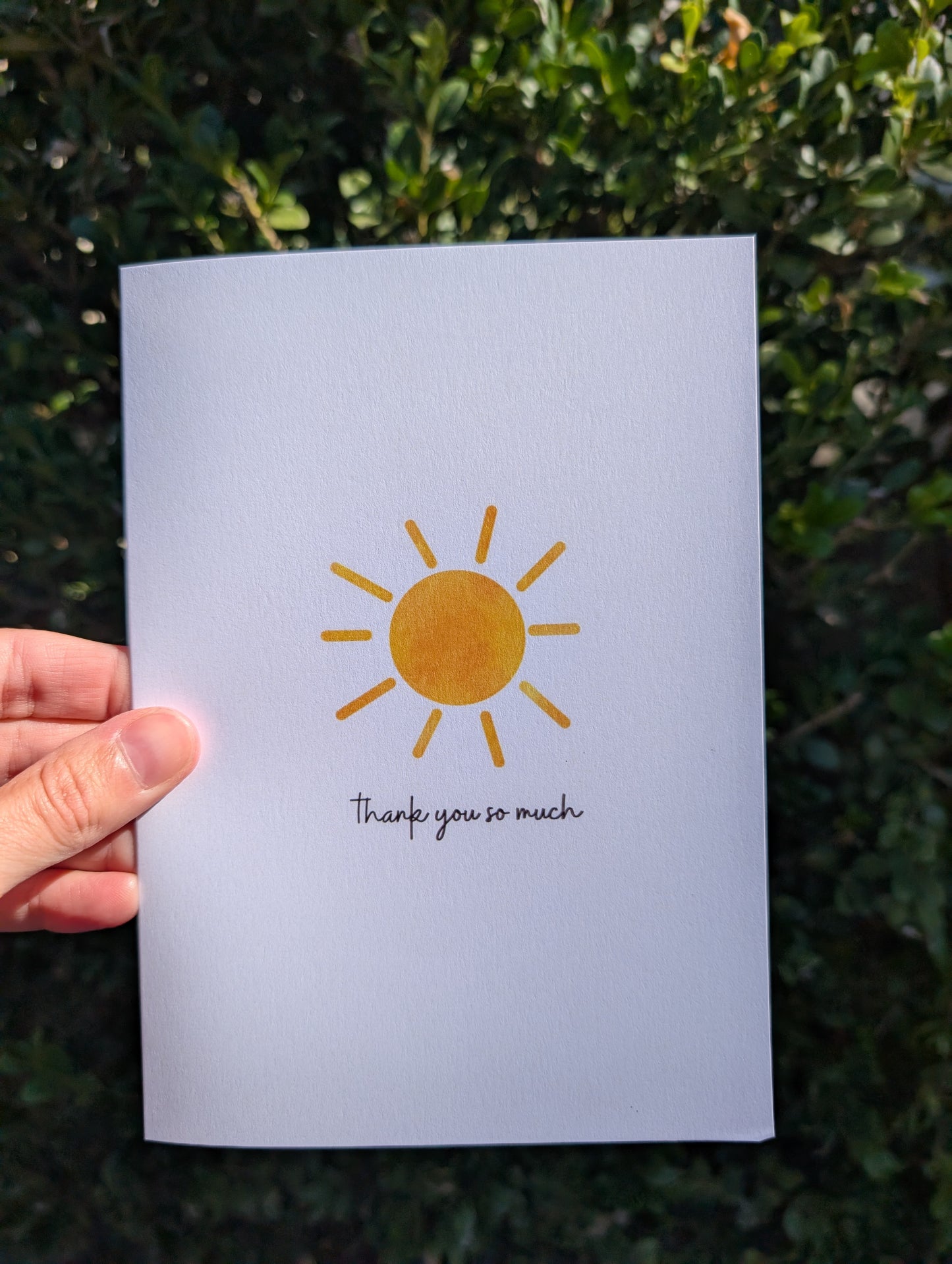 Little Ray of Thanks - Greeting Card