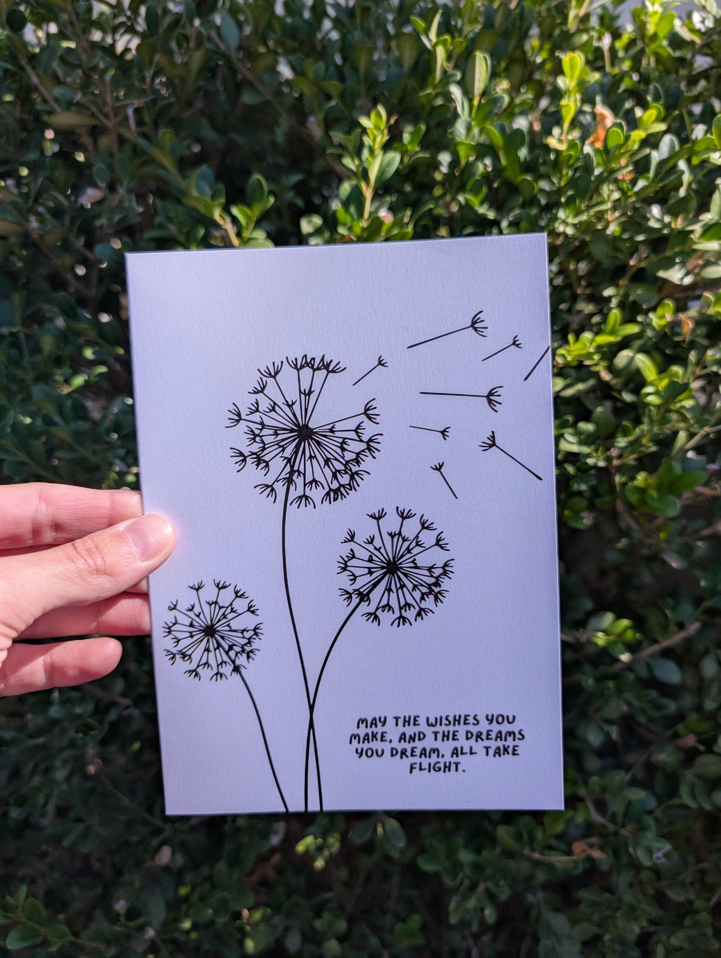 Dandelion Dreams - Greeting Card