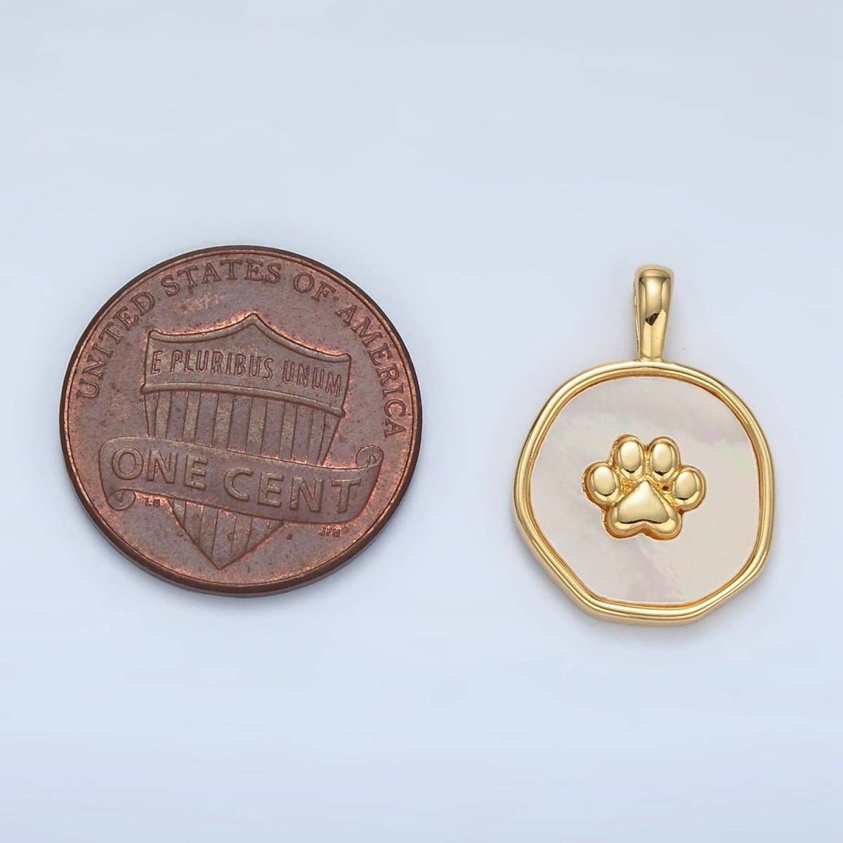 Paw Print Shell Charm