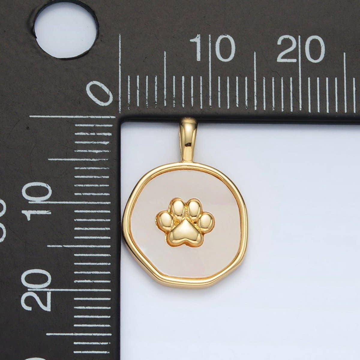 Paw Print Shell Charm